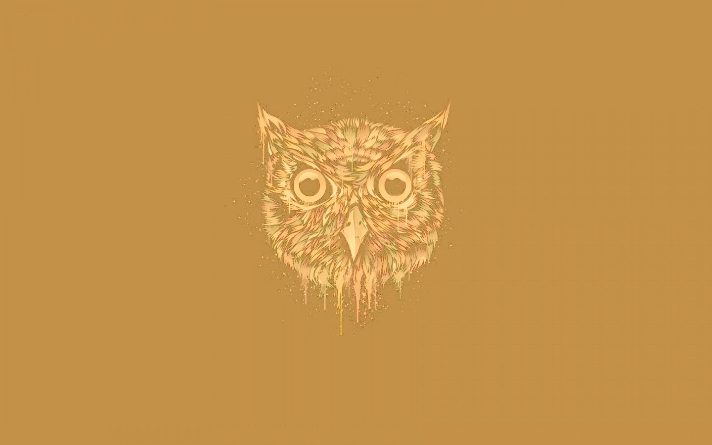 Векторная совиная голова обои
