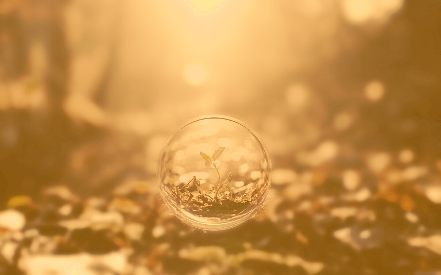 Росток в пузыре обои