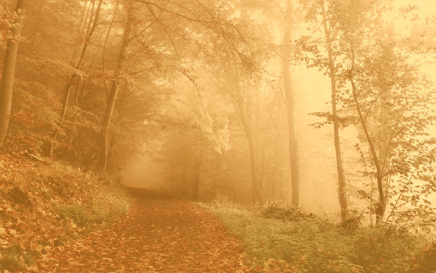 Осенний мистический пейзаж обои