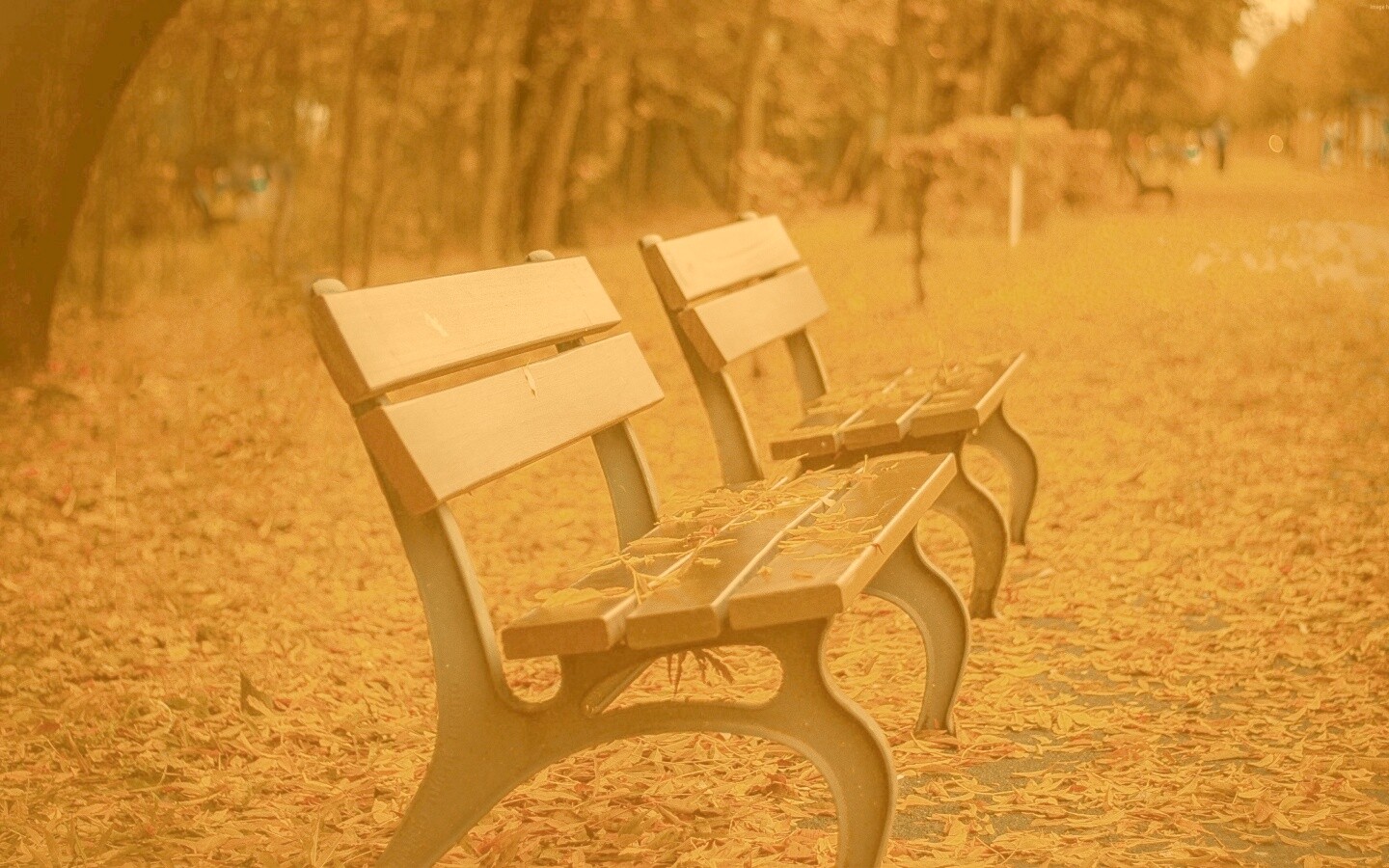 Лавочки в осеннем парке обои