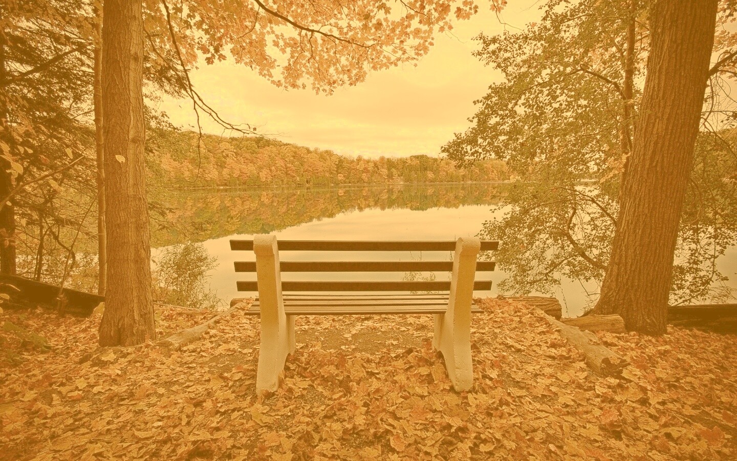 Вид на осеннее озеро обои