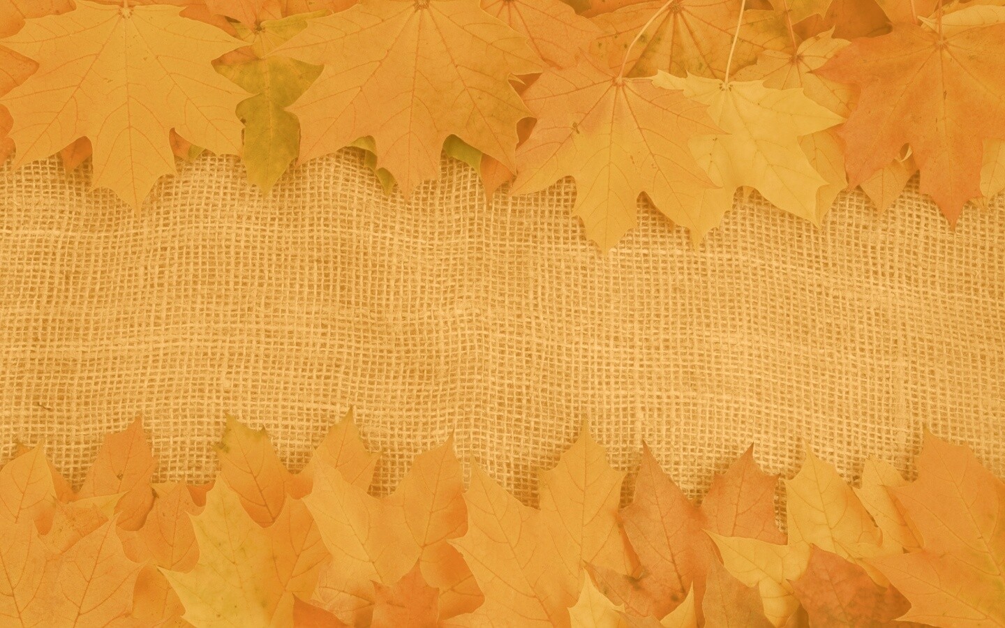 Желтые кленовые листья на холсте обои