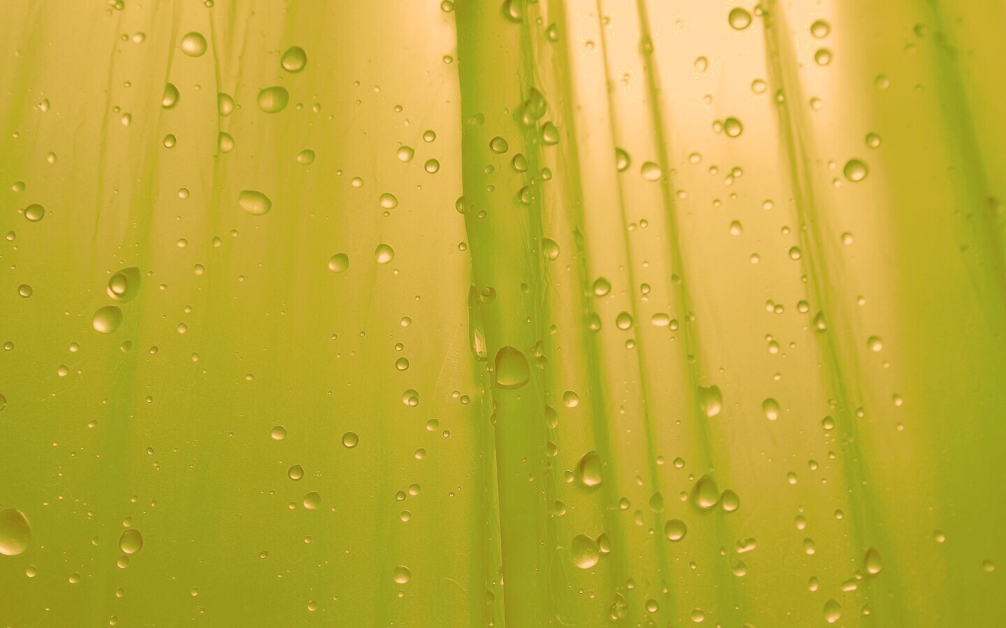 Капли на зеленом пластике обои