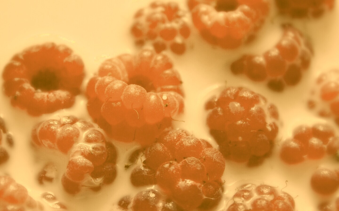 Малина в молоке обои