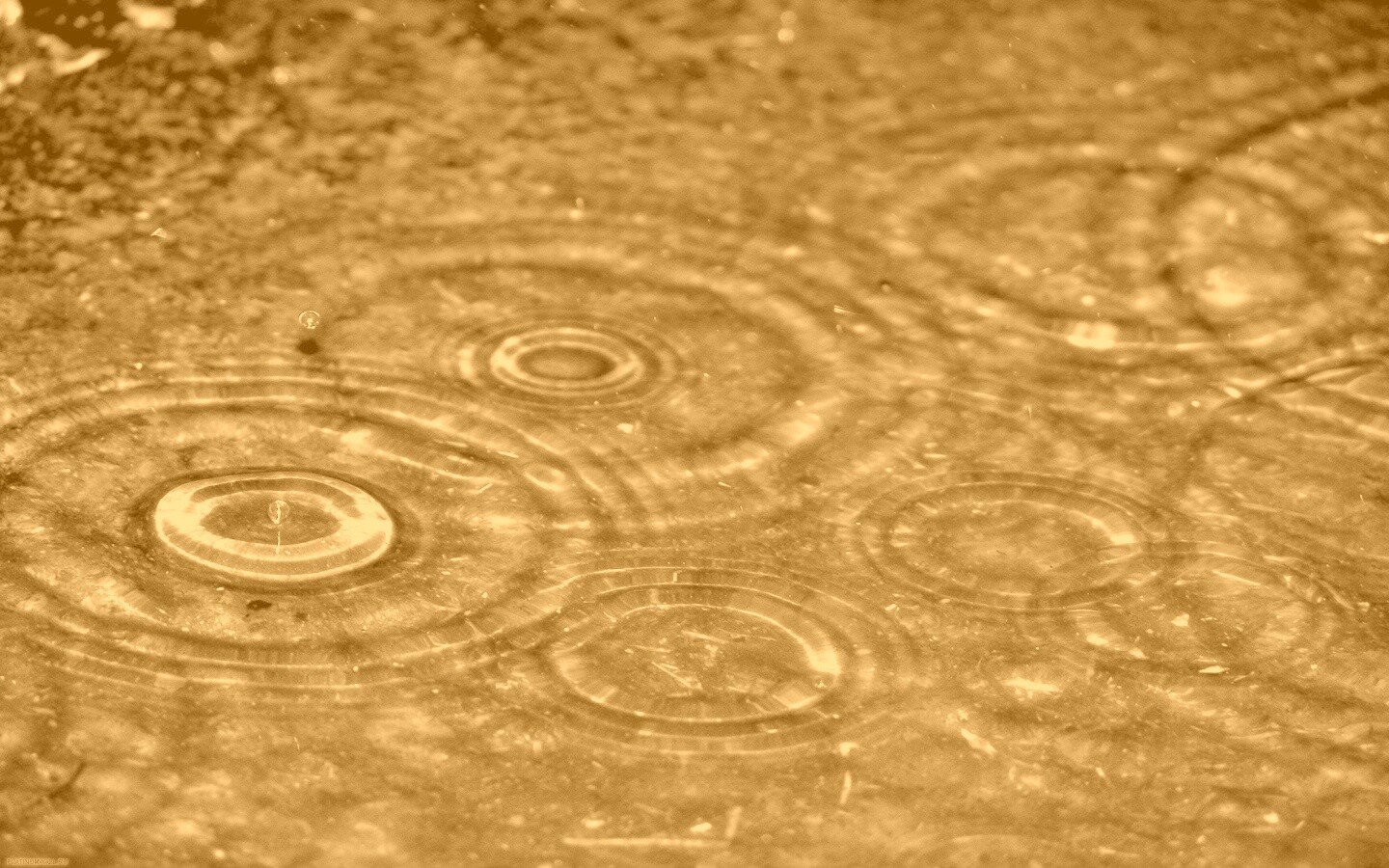 Круги на воде обои