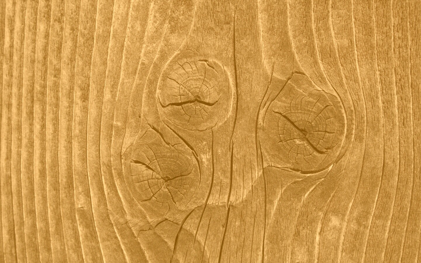 Сучковатое дерево обои