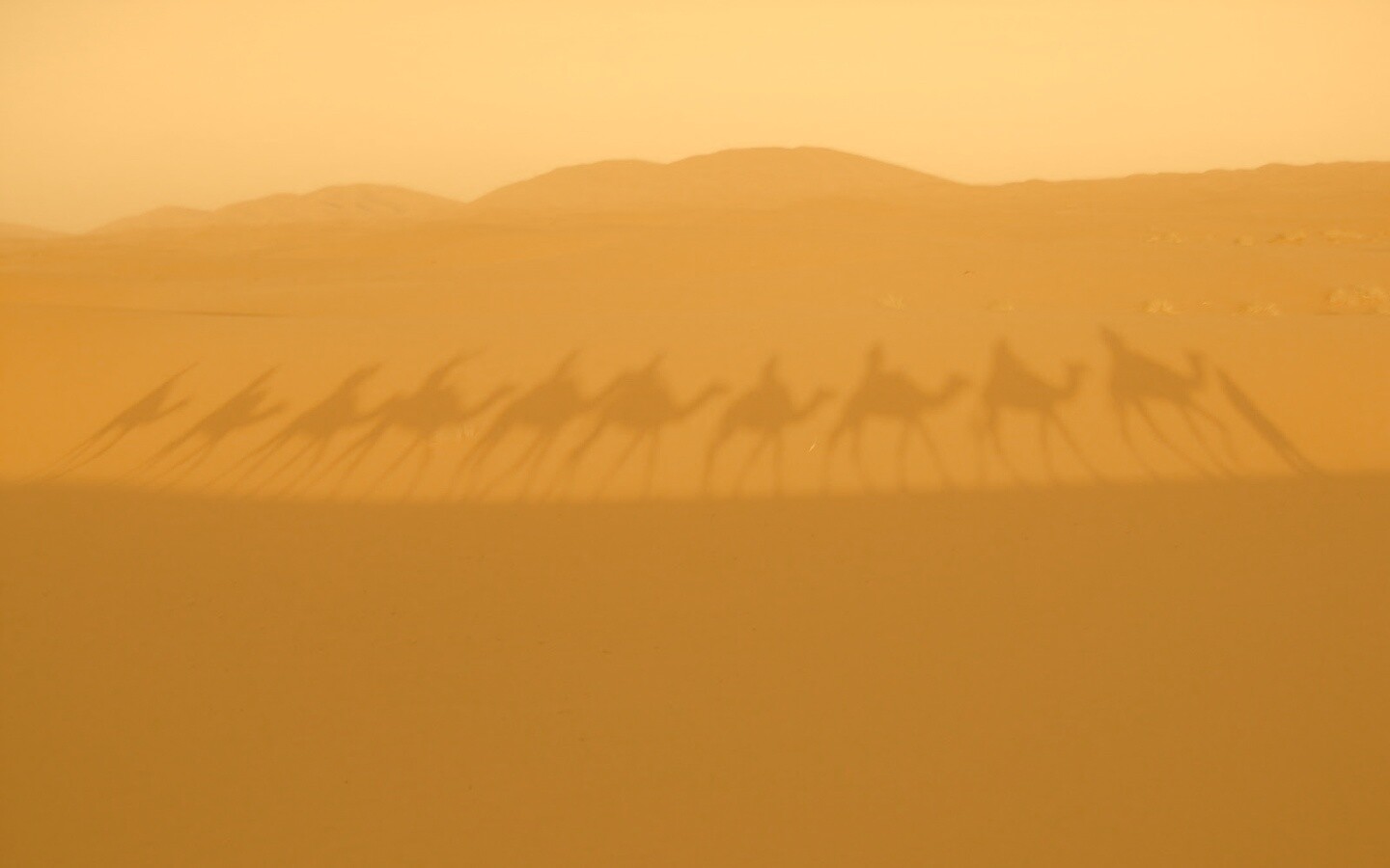 Караван обои