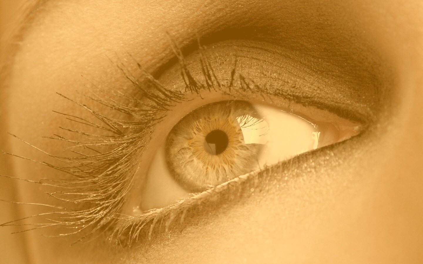 Оранжевый глаз обои