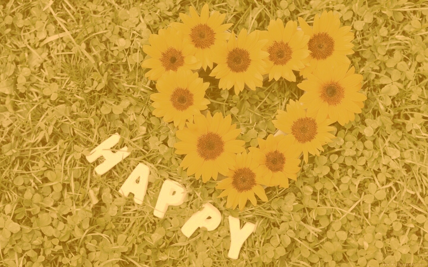 Радость обои