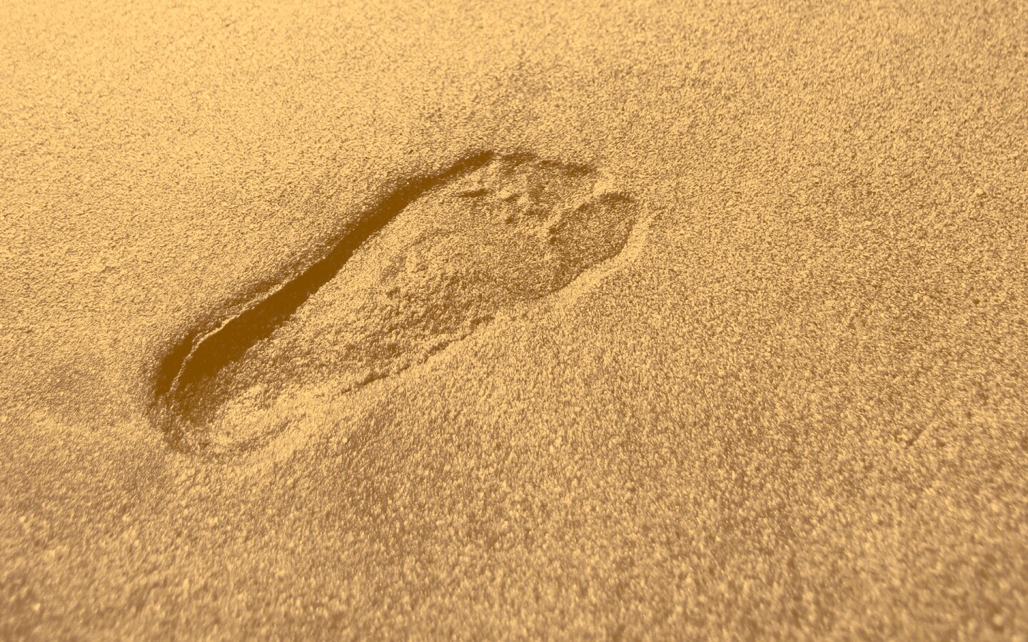 Отпечаток ноги обои