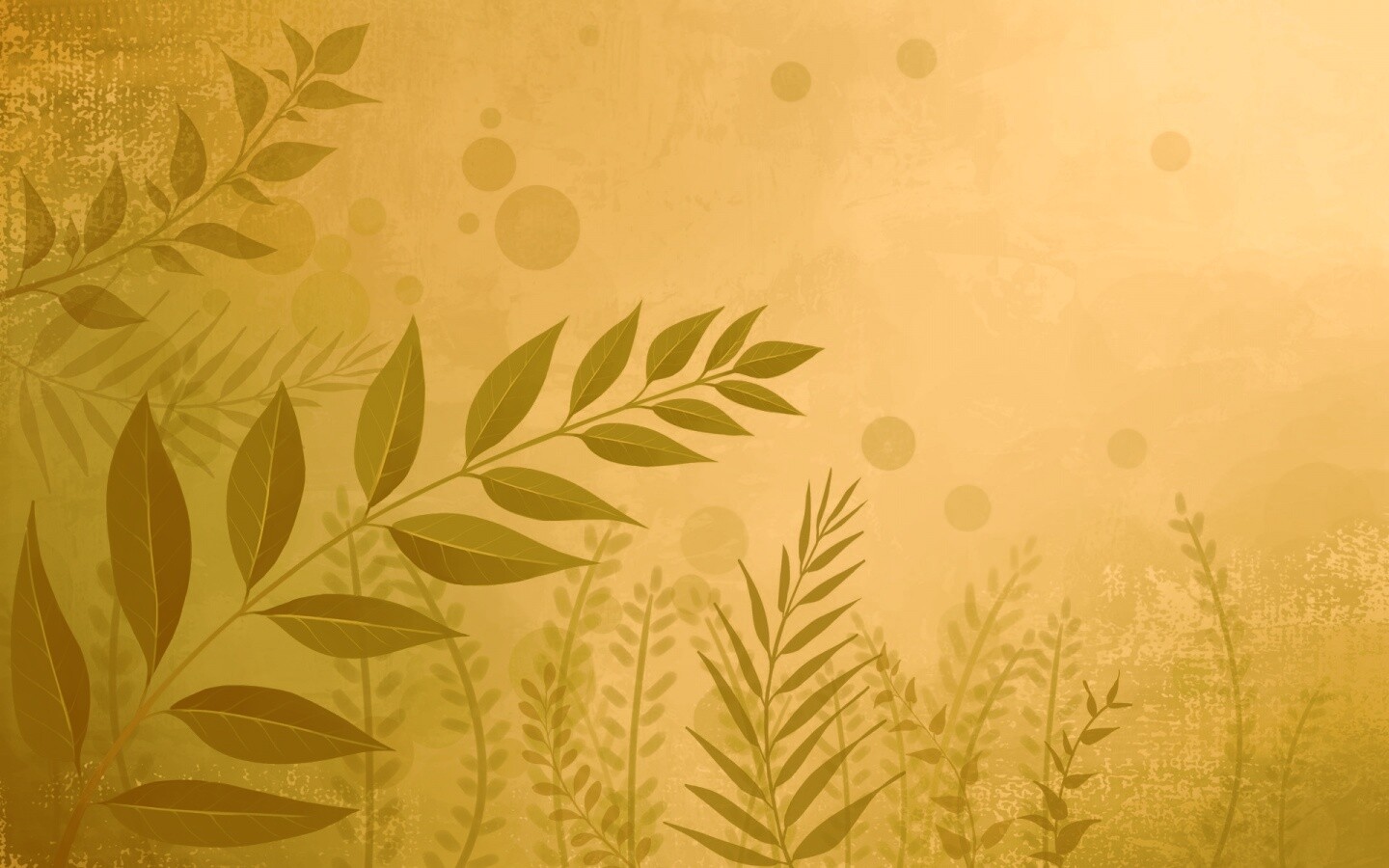 Веточка молодых листьев обои