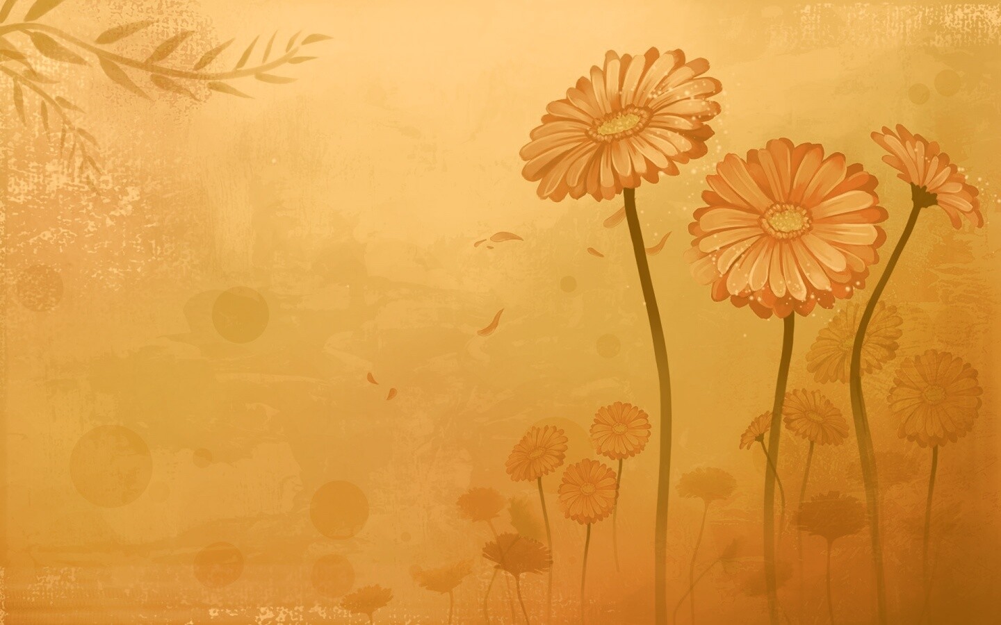 Векторные ромашки обои