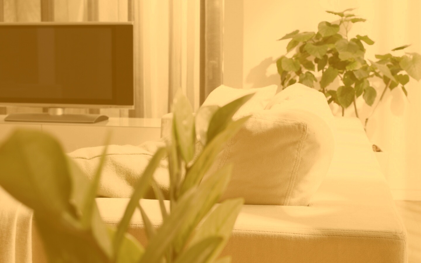 Белая комната обои