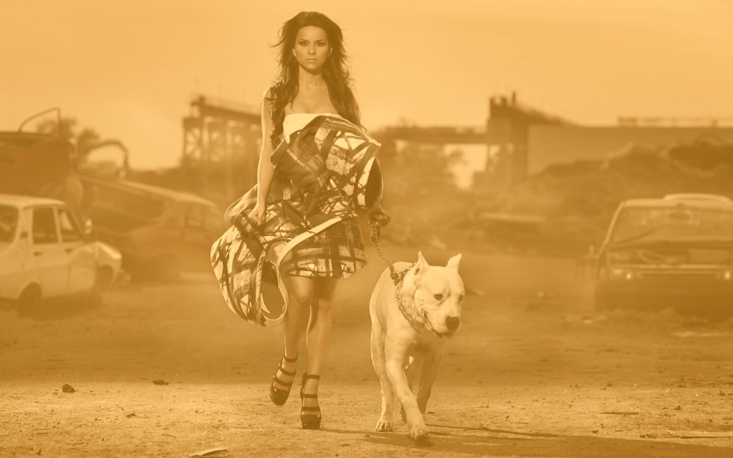 Девушка с питбулем обои