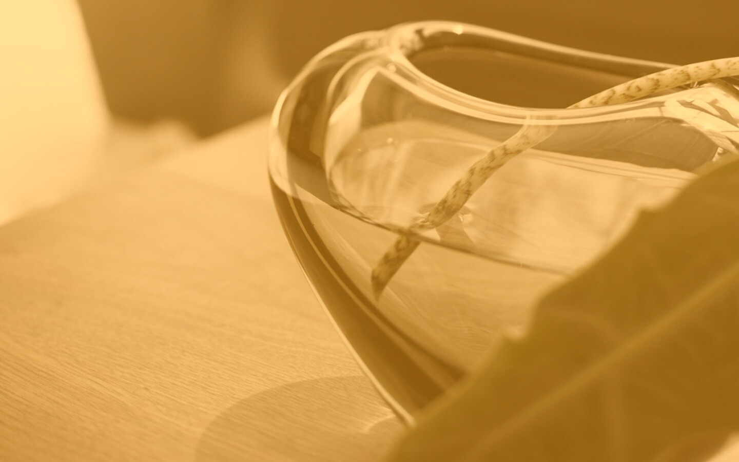 Ваза с листом обои