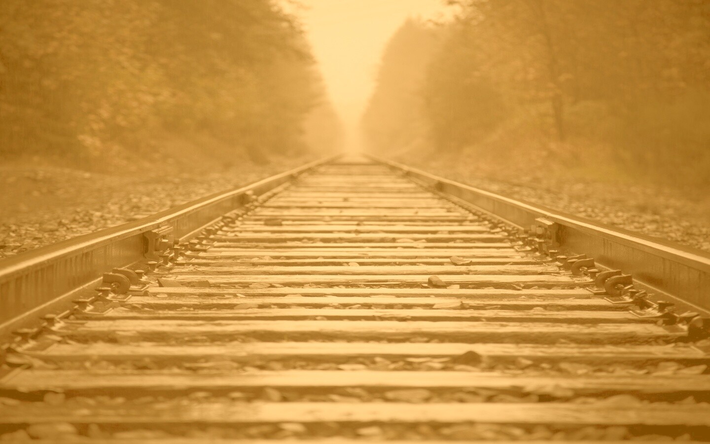 Железная дорога после дождя обои