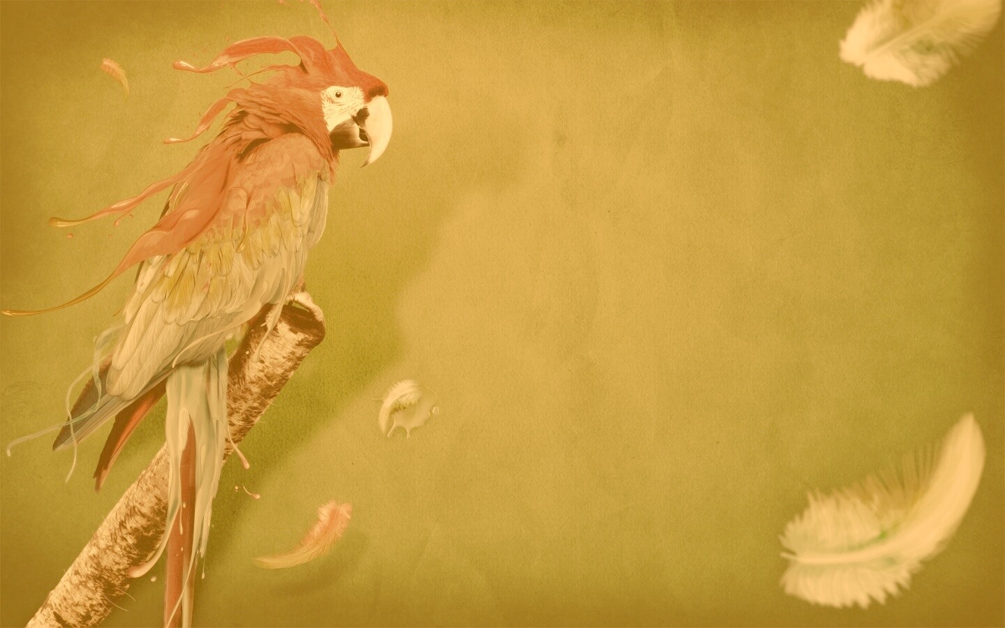 Попугай на ветке обои