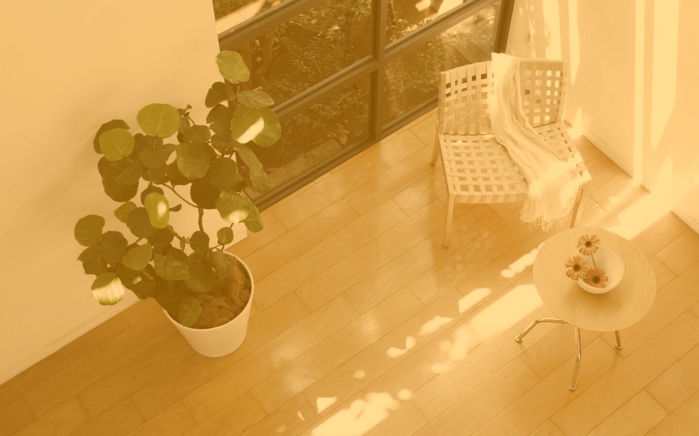 Стул, столик и цветы в комнате обои