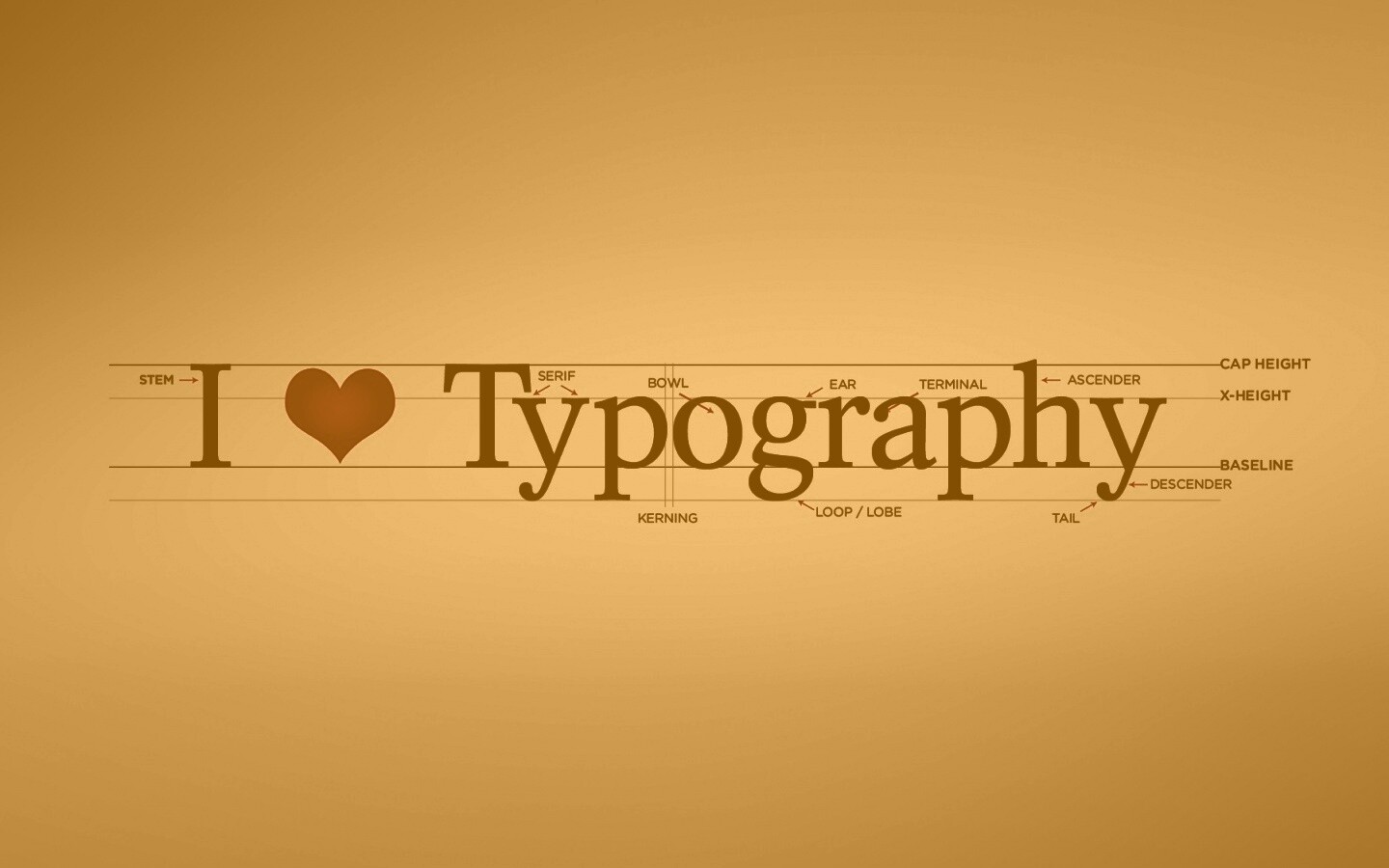 I love typography обои