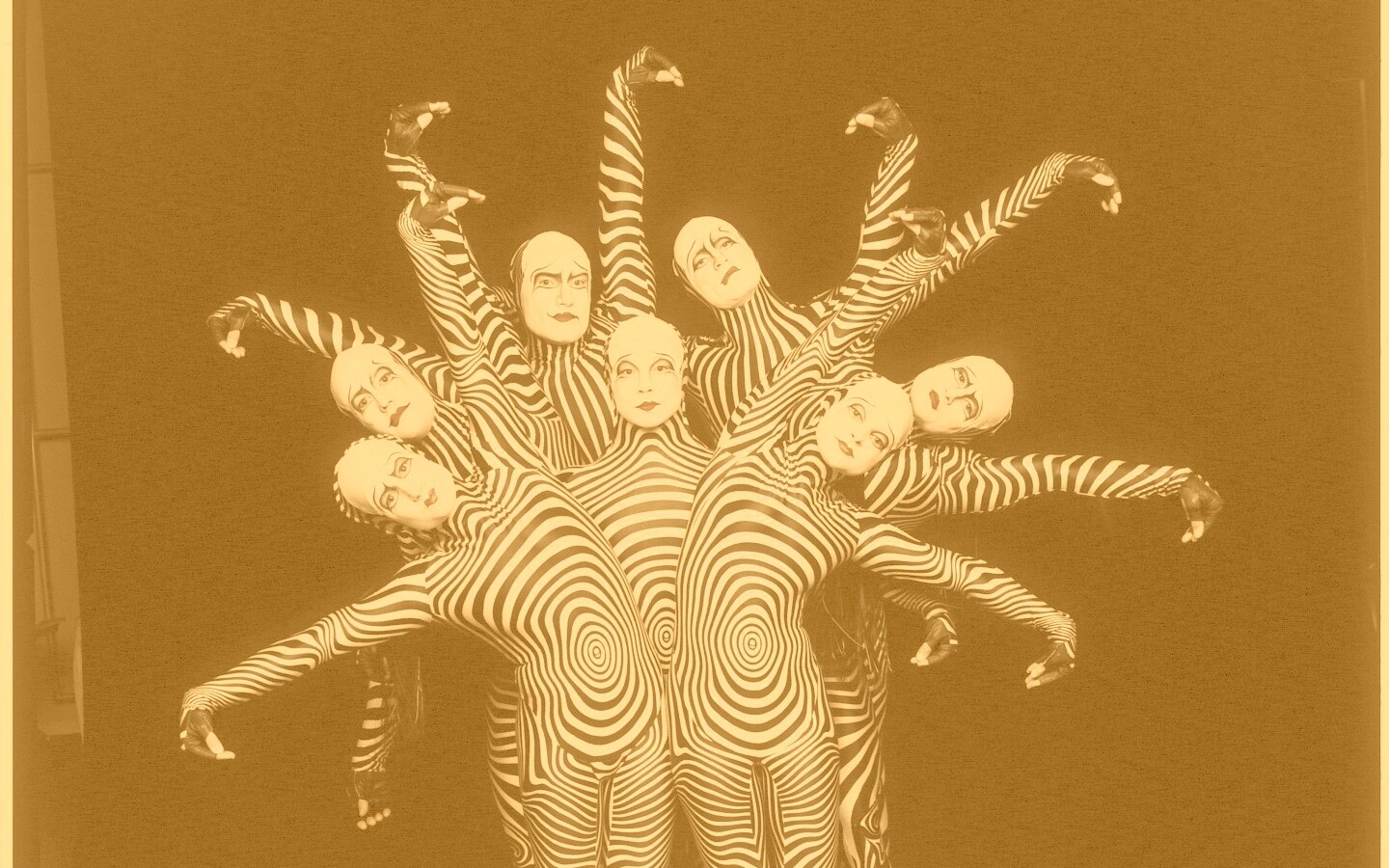 Зеброиды (актеры цирка дю солей) обои