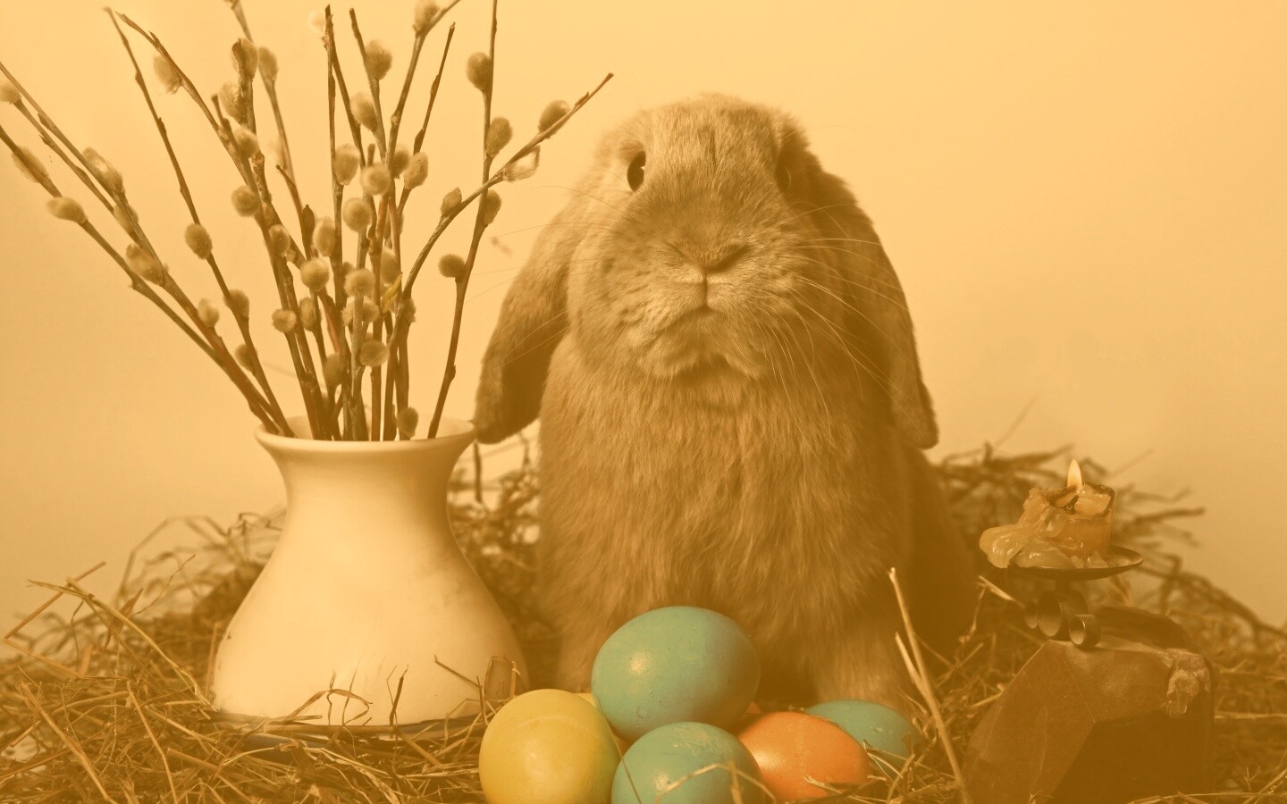 Пасхальный кролик обои