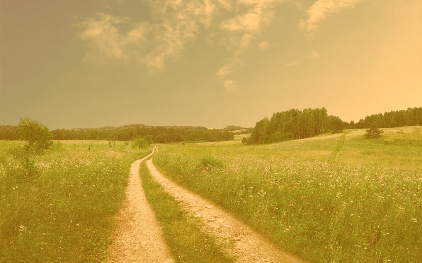 Дорога через луг обои