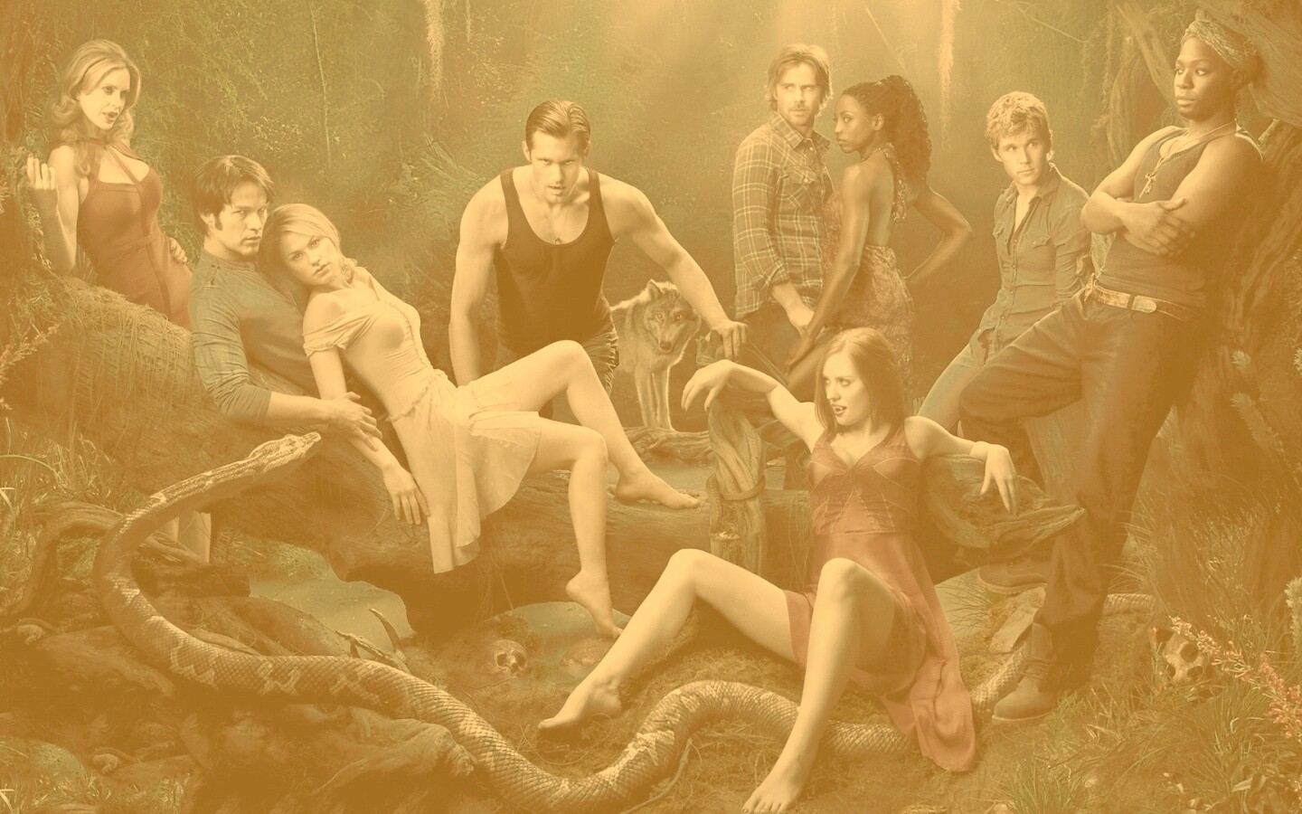 True blood обои