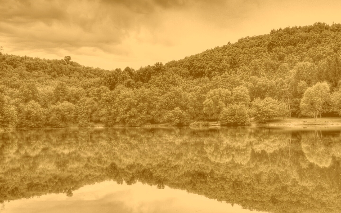 Лесной берег обои