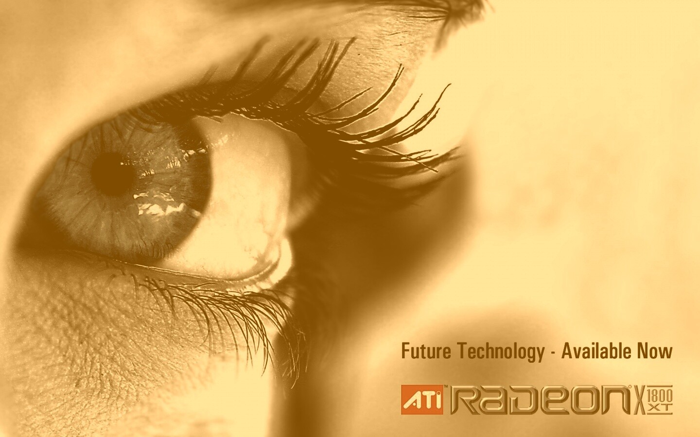 Ati Radeon Future Technology - available now обои