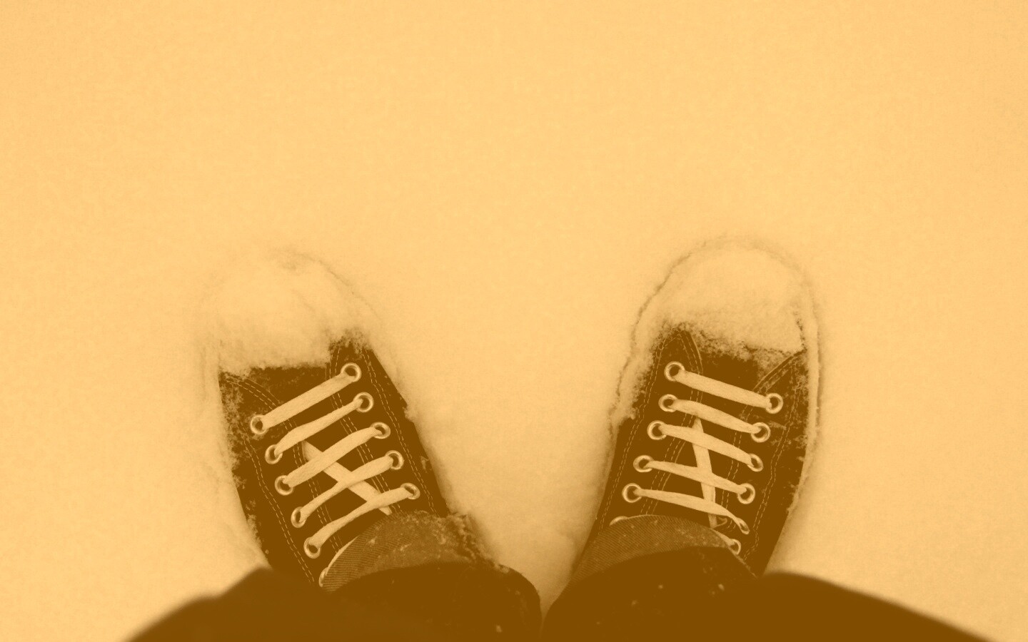 Дурак зимой в кедах обои