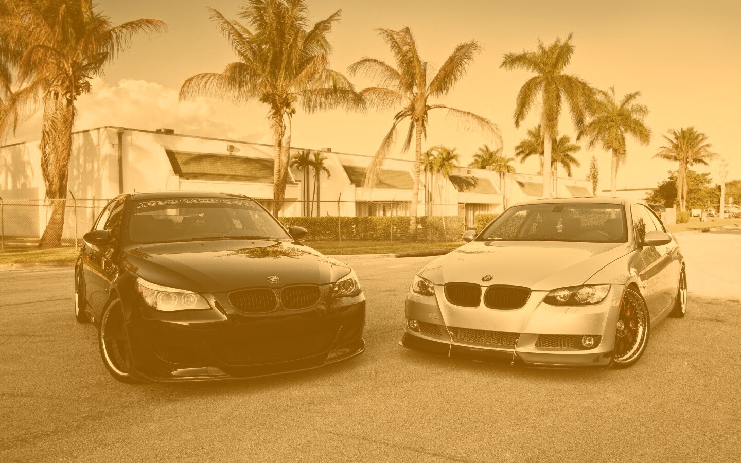 Две БМВ обои