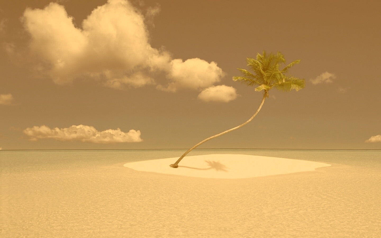 Идеальный пальмовый остров обои