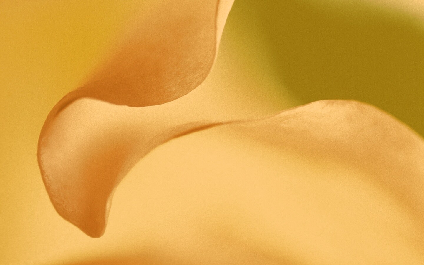 Оттенки природы обои