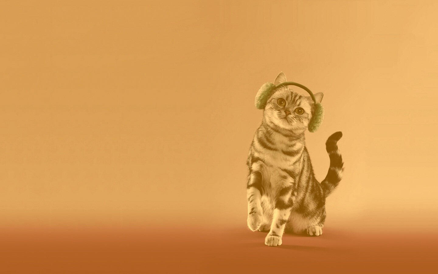 Кот в зеленых наушниках обои