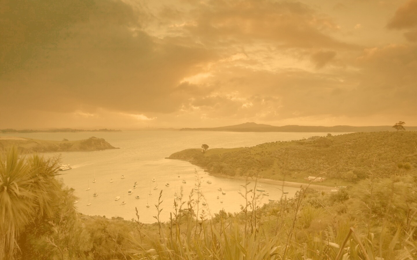 Waiheke Island, New Zealand обои