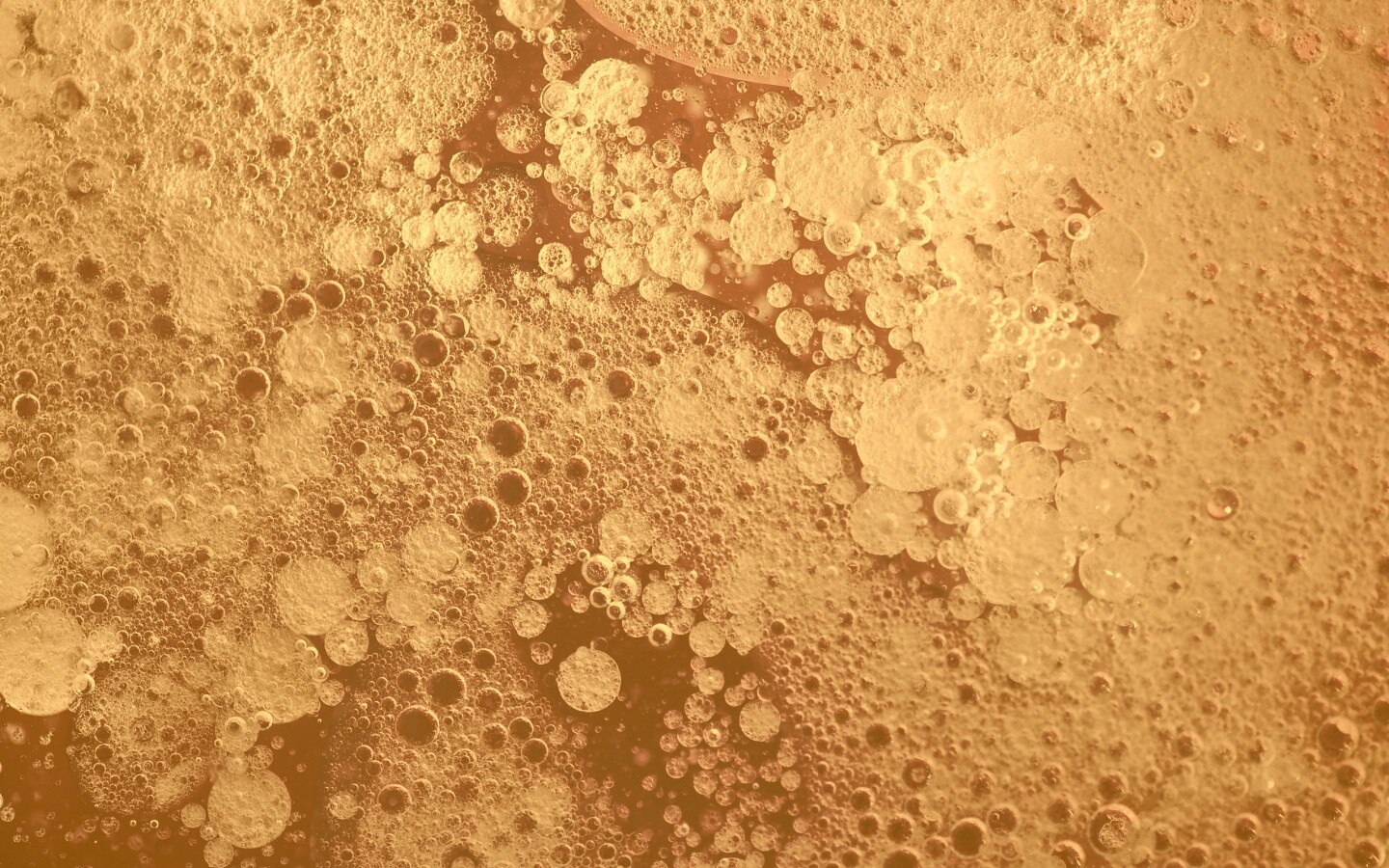 Реакция Вассермана в фиолетовых тонах обои