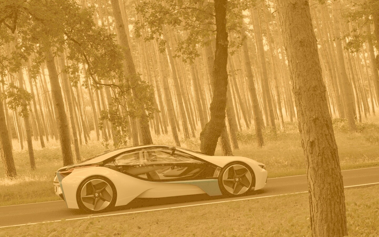 Спорткар BMW на лесной дороге обои