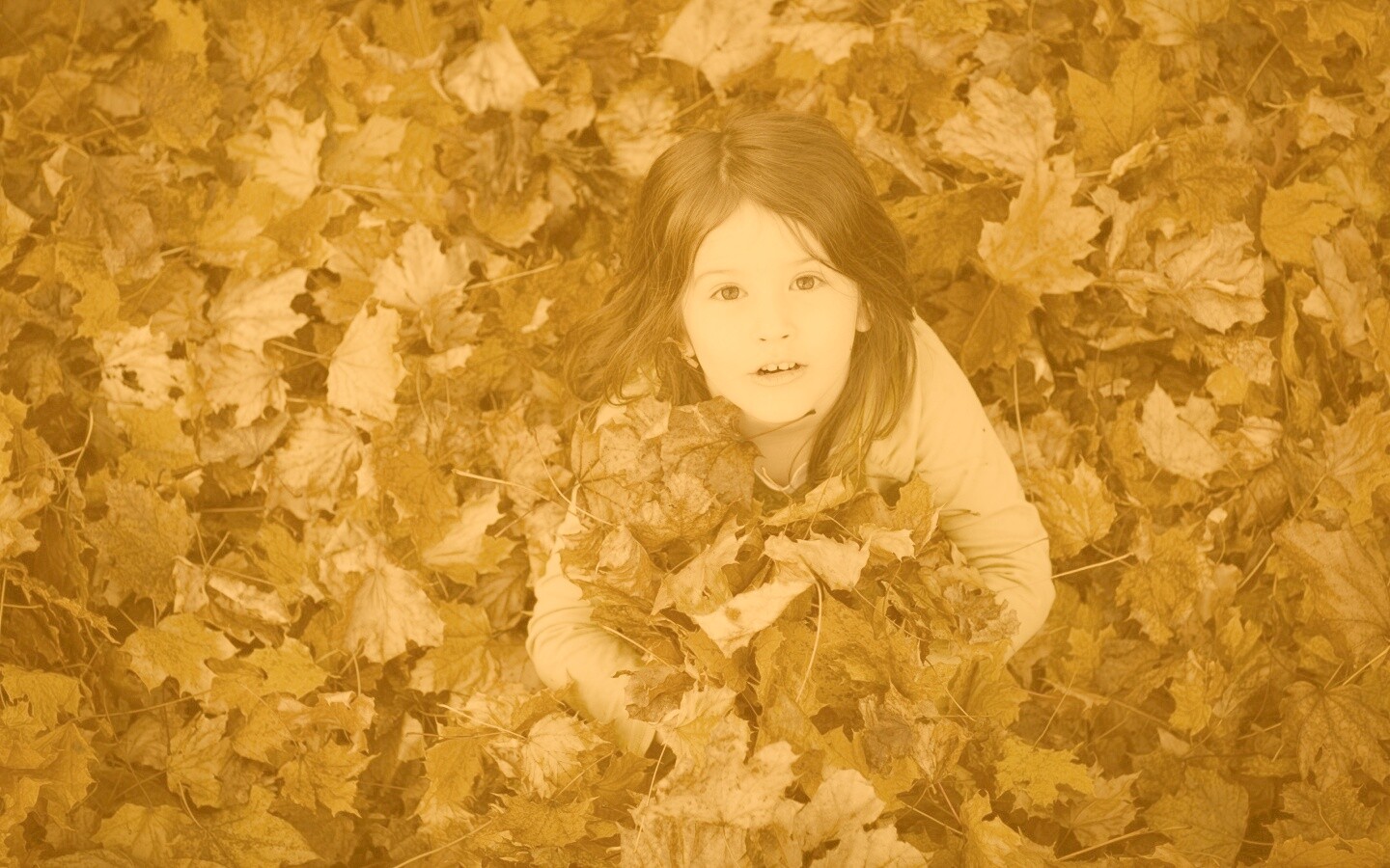 Девочка и осень обои