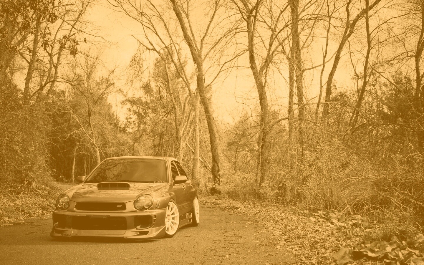 Субару Импреза на лесной дороге обои