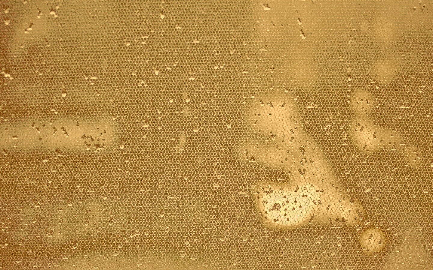 Капли нас етке обои