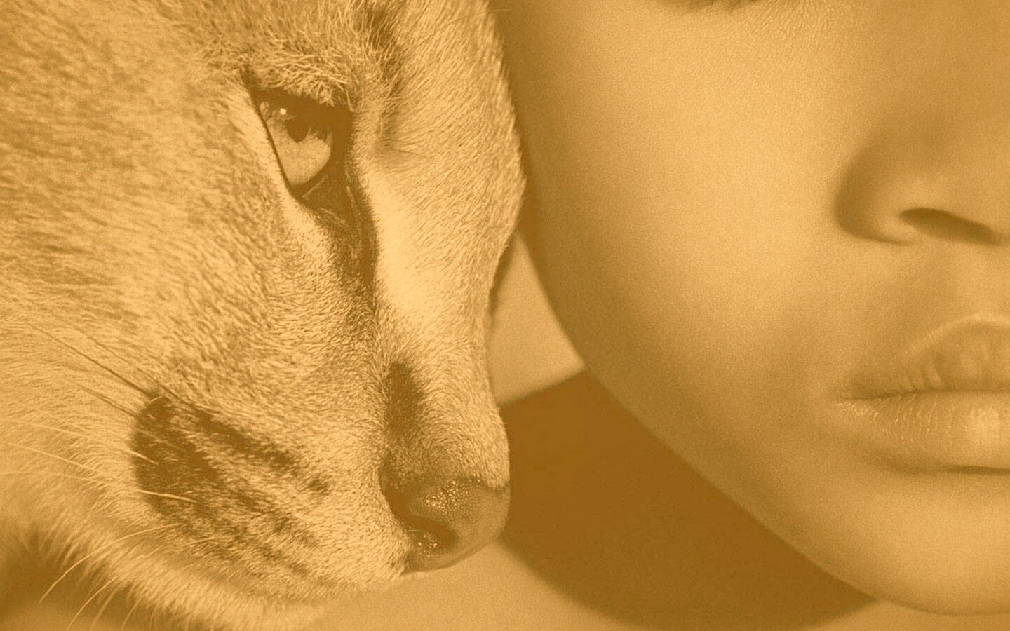 Человек и природа обои