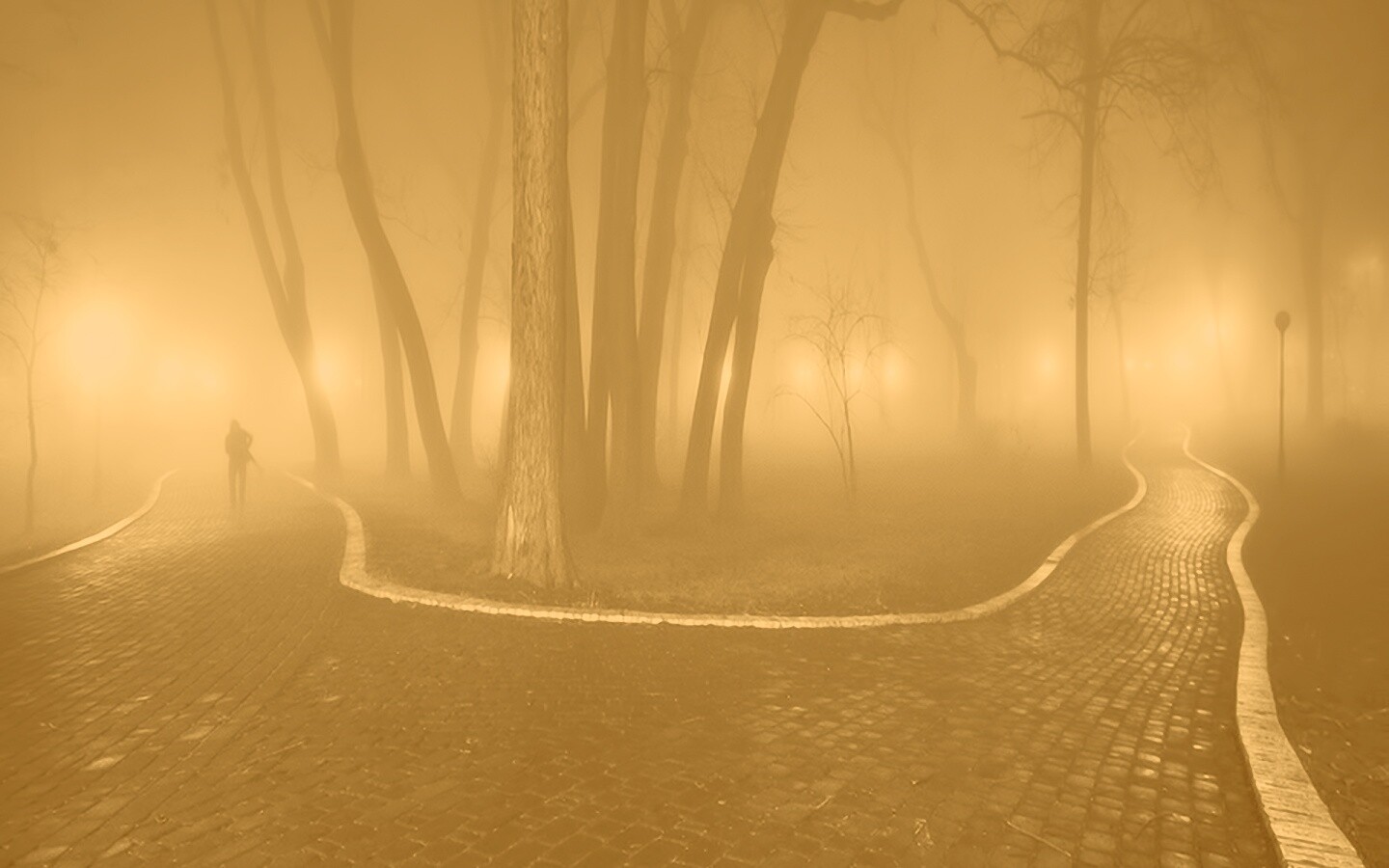 Пустынный лабиринт парковых дорожек обои