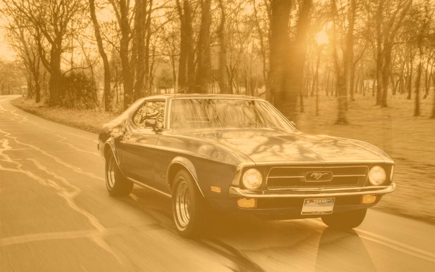 Мустанг обои