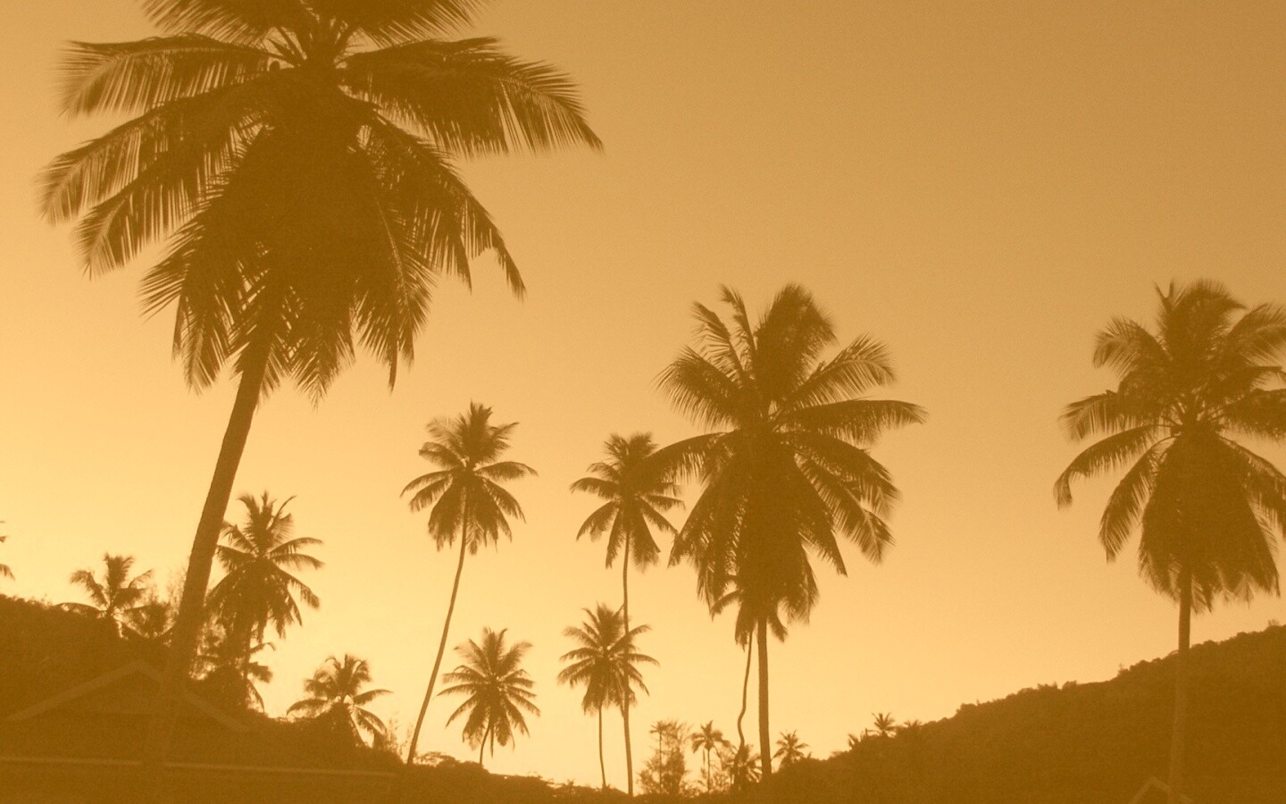 Пальмы на фоне фиолетового неба обои