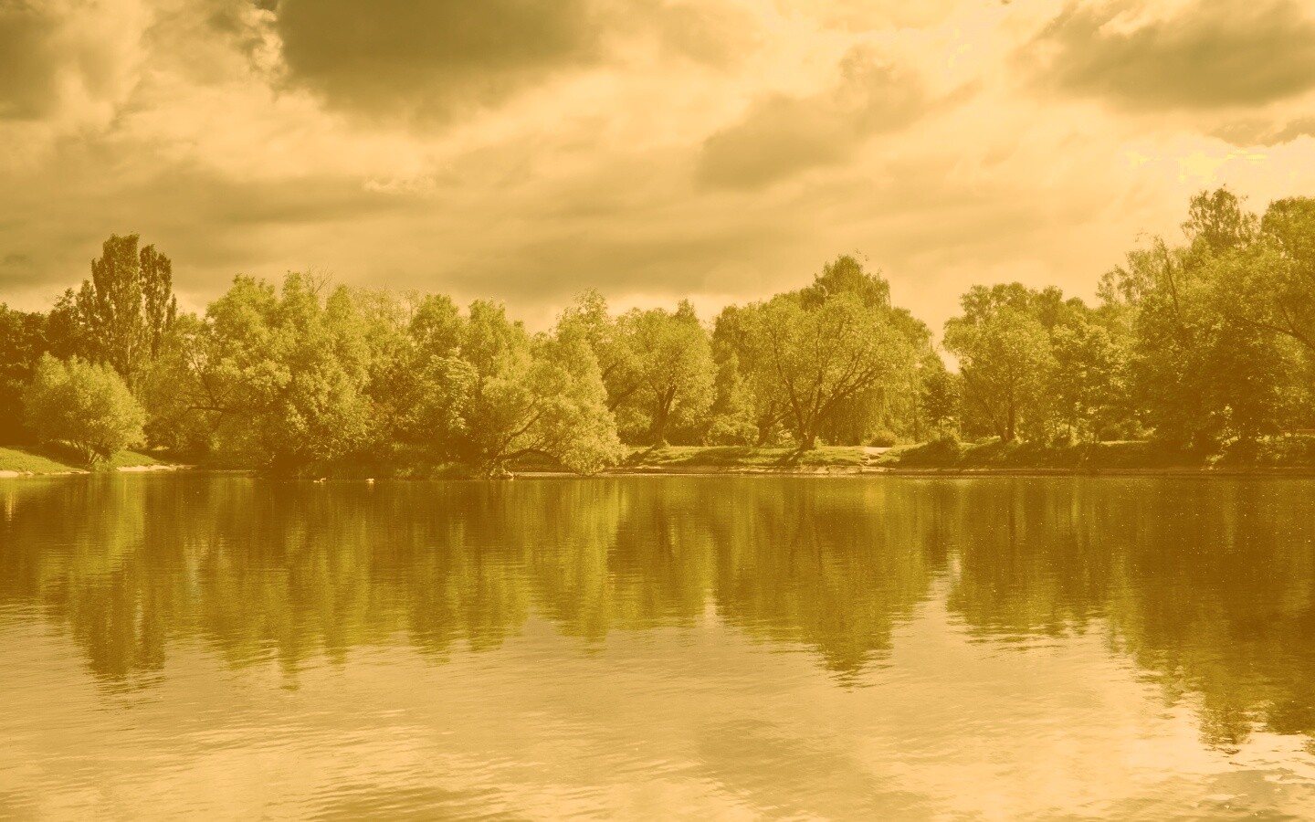 Деревья на берегу озера обои