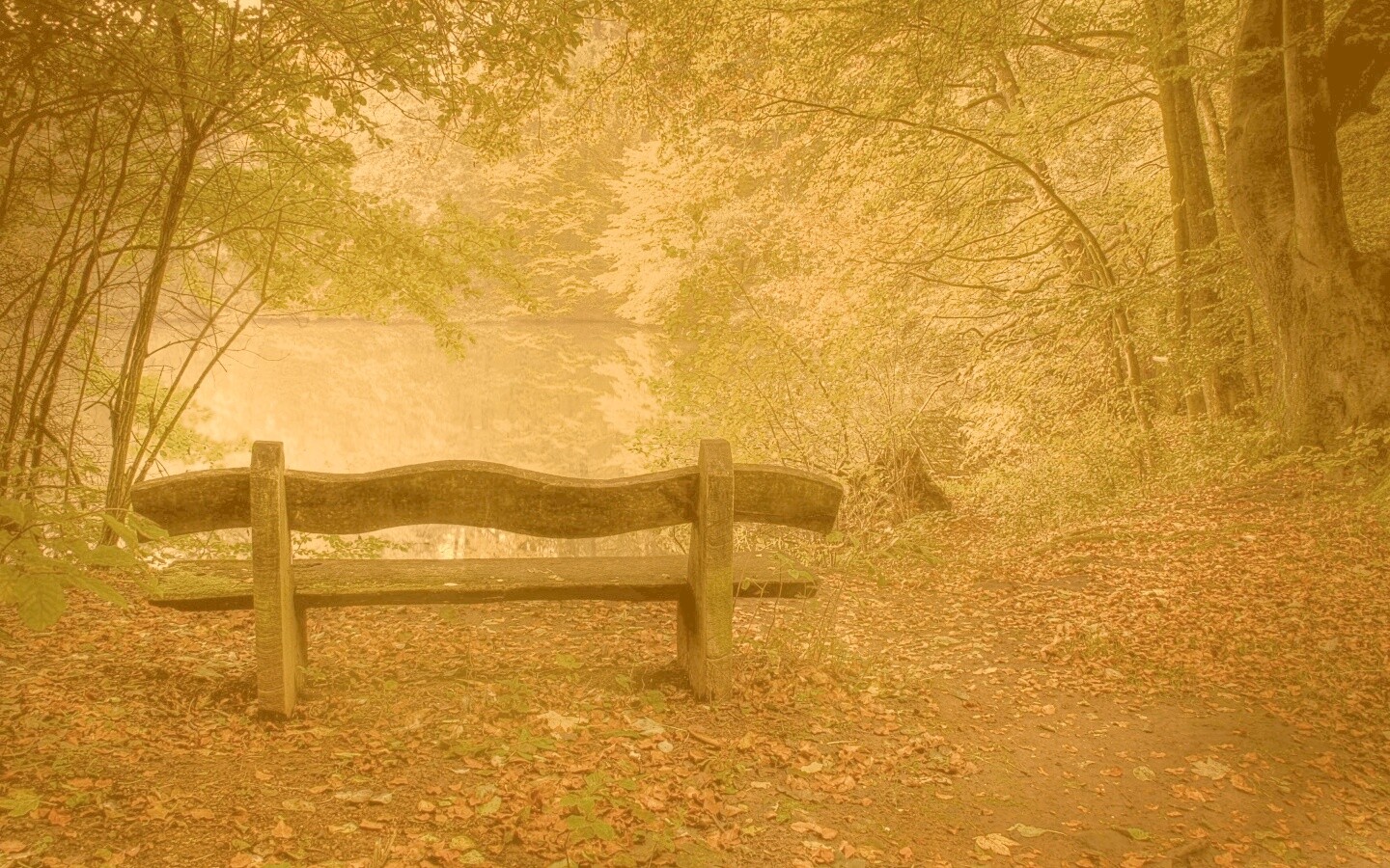 Скамейка в лесу обои