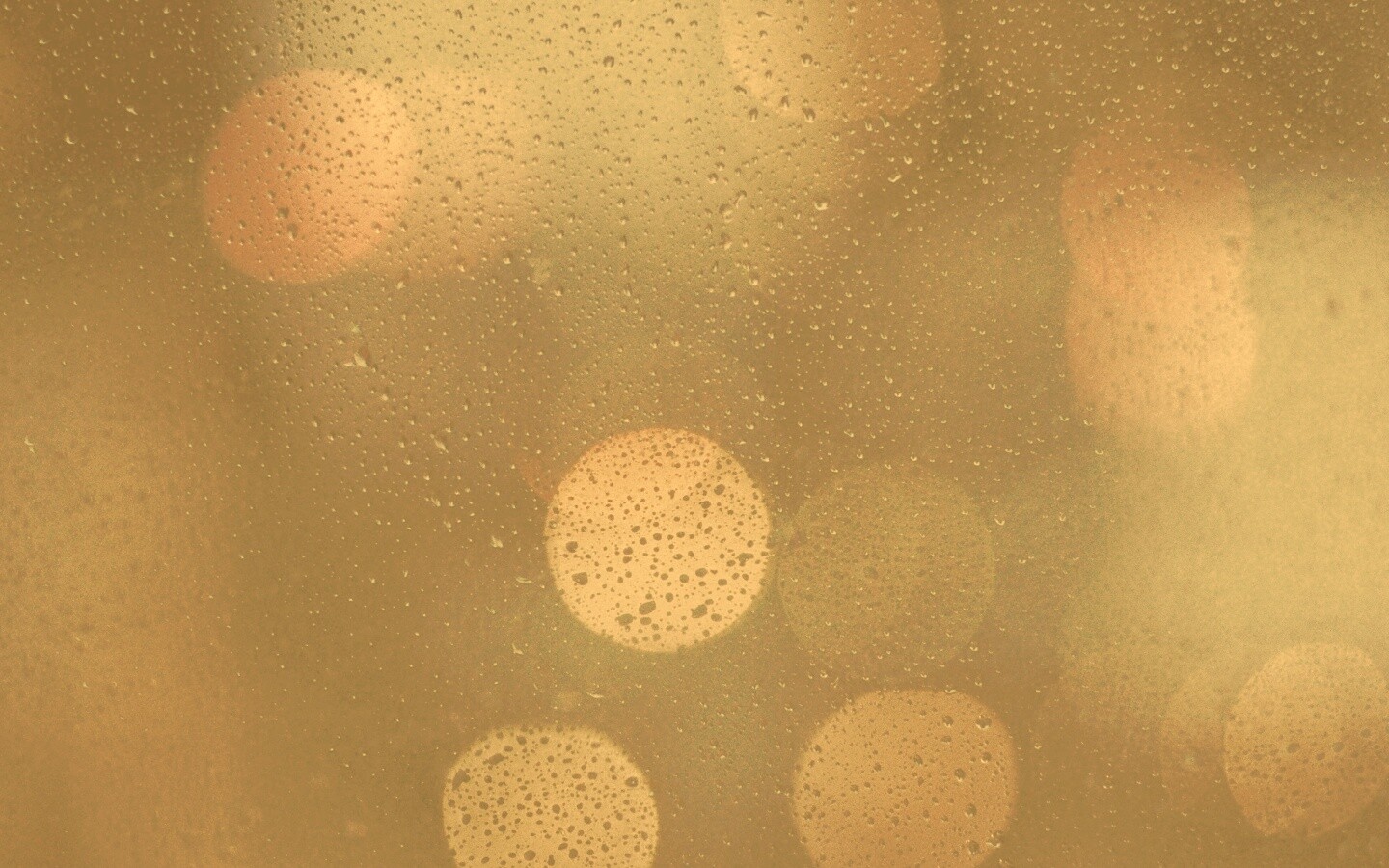 Блики за мокрым стеклом обои