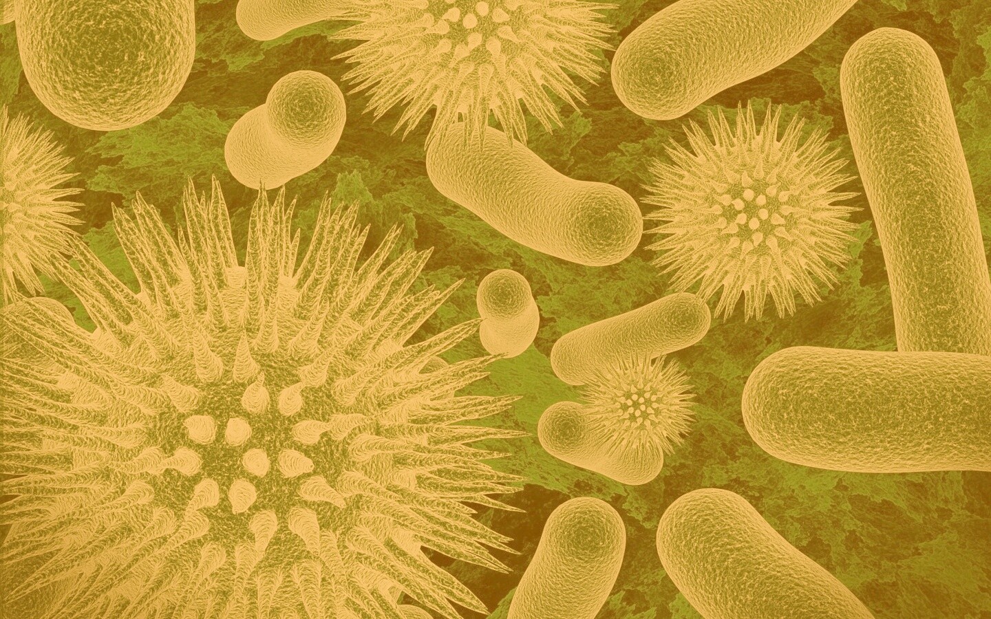 Бактерии обои