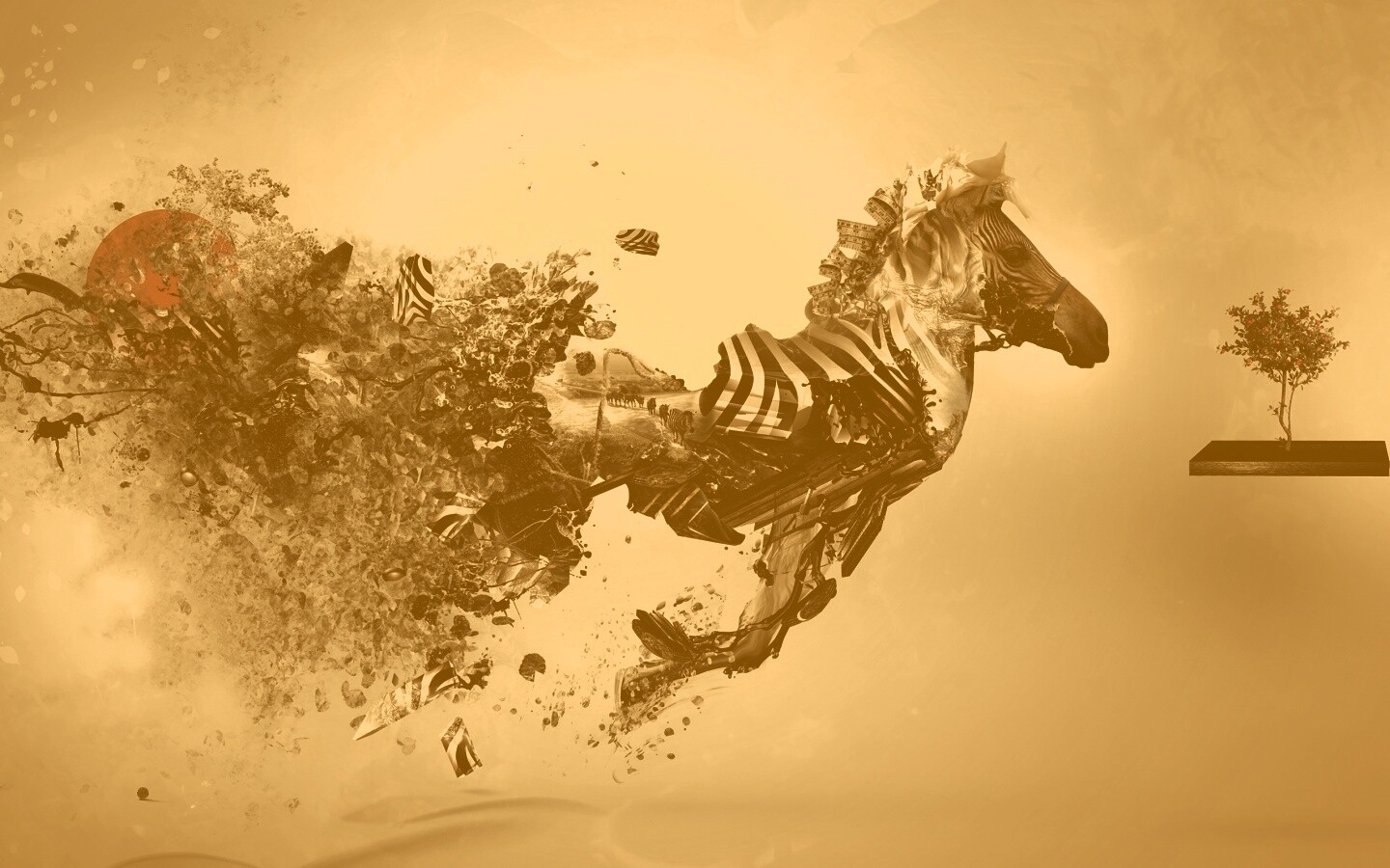 Зебра и бонсай обои