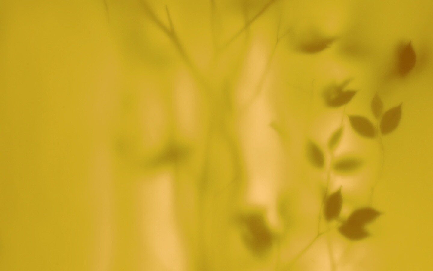 Зелень за стеклом обои